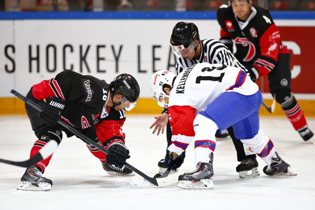 Darryl Boyce bringt bereits Erfahrung in der Champions Hockey League mit. Hier duelliert er sich mit Klotens Steve Kellenberg. Foto: JYP Jyväskylä via Getty Images