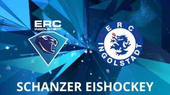 Die Jungpanther haben tolle Leistungen gezeigt. Die Jungpanther haben tolle Leistungen gezeigt.