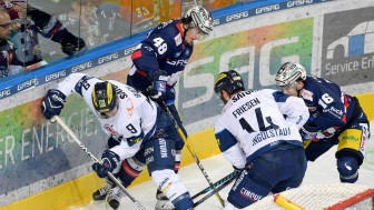 Die Eisbären entschieden die Partie für sich. Foto: City Press Die Eisbären entschieden die Partie für sich. Foto: City Press