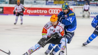 Ein enges Duell im engen Playoffkampf lieferten sich Ingolstadt (Dustin Friesen, rechts) und Bremerhaven (Marian Dejdar). Foto: Oliver Strisch / st-foto Ein enges Duell im engen Playoffkampf lieferten sich Ingolstadt (Dustin Friesen, rechts) und Bremerhaven (Marian Dejdar). Foto: Oliver Strisch / st-foto