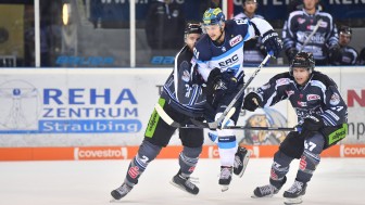 David Elsner und sein ERC empfangen zum Auftakt die Straubing Tigers. Foto: st-foto.de / Johannes Traub David Elsner und sein ERC empfangen zum Auftakt die Straubing Tigers. Foto: st-foto.de / Johannes Traub