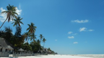 Pantherige Urlaubstipps. Foto: Pixabay Pantherige Urlaubstipps. Foto: Pixabay
