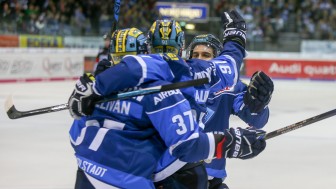Gelingt den Panthern am Feiertag der nächste Sieg? Foto: Meyer Jürgen / kbumm.de Gelingt den Panthern am Feiertag der nächste Sieg? Foto: Meyer Jürgen / kbumm.de