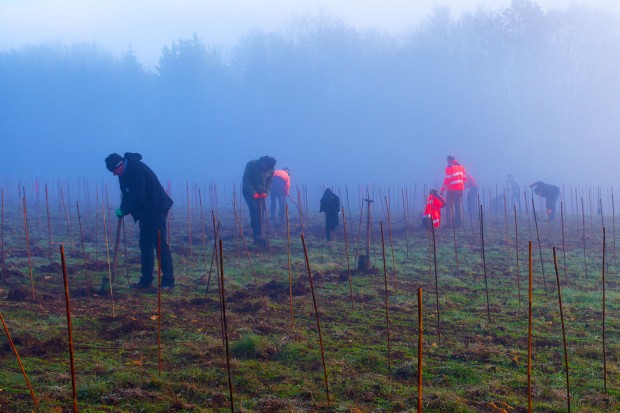 Gemeinsam mit der Audi Stiftung für Umwelt am 02.03. in Kipfenberg Bäume pflanzen!