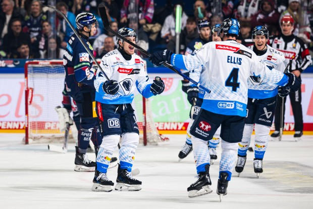 Unter anderem das Jersey von Alex Breton ist aktuell zu haben.
Foto: City-Press