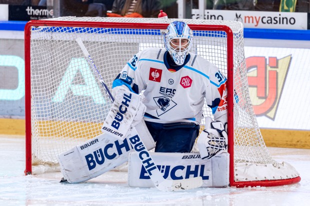 Brett Brochu und die Panther sind in Bozen gefordert.
Foto: Philipp Hegglin