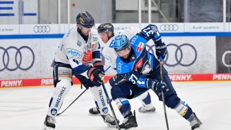 Riley Barber und die Panther wollen sich gegen Iserlohn durchsetzen.
Foto: Johannes Traub/JT-Presse.de