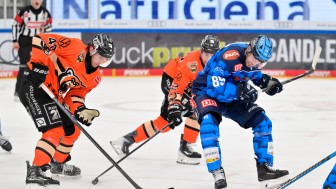Im letzten Heimspiel des Jahres 2025 treffen die Panther am Sonntag auf Wolfsburg.
Foto: Johannes Traub/JT-Presse.de