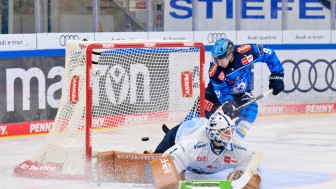Myles Powell und die Panther wollen auch in Straubing erfolgreich sein.
Foto: Johannes Traub/JT-Presse.de Myles Powell und die Panther wollen auch in Straubing erfolgreich sein.
Foto: Johannes Traub/JT-Presse.de
