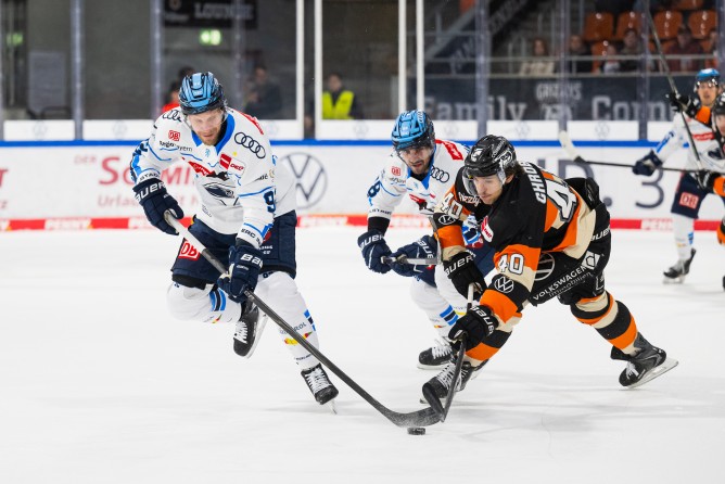 Die Panther sind heute in Wolfsburg gefordert.
Foto: City-Press
