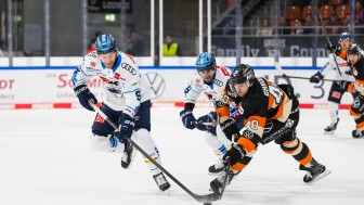 Die Panther sind heute in Wolfsburg gefordert.
Foto: City-Press
Die Panther sind heute in Wolfsburg gefordert.
Foto: City-Press