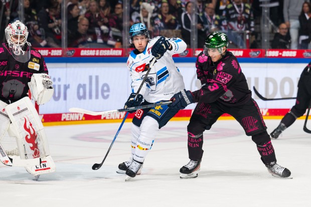 Die Panther wollen sich heute in Berlin durchsetzen.
Foto: City-Press