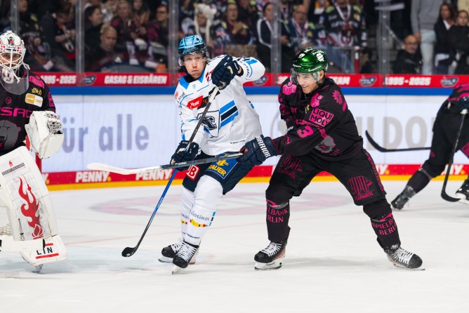 Die Panther wollen sich heute in Berlin durchsetzen.
Foto: City-Press