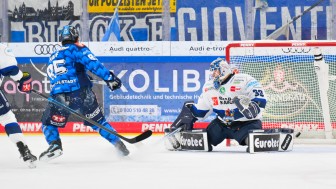 Luca Hauf erzielte sein erstes DEL-Tor.
Foto: Johannes Traub/JT-Presse.de Luca Hauf erzielte sein erstes DEL-Tor.
Foto: Johannes Traub/JT-Presse.de