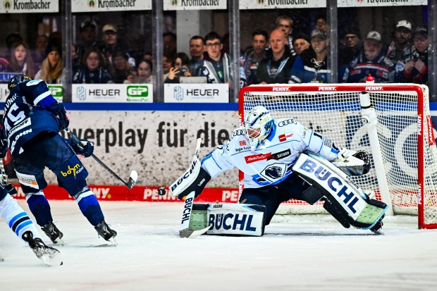 Unter anderem das Auswärtstrikot von Nico Pertuch ist zu haben.
Foto: DEL-Photosharing