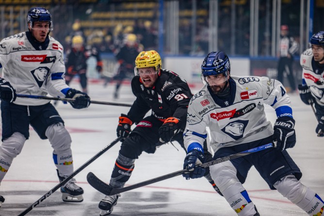 Die Panther unterlagen im letzten Testspiel der Vorbereitung.
Foto: Löwen Frankfurt