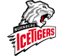 Logo Nürnberg Ice Tigers Logo Nürnberg Ice Tigers